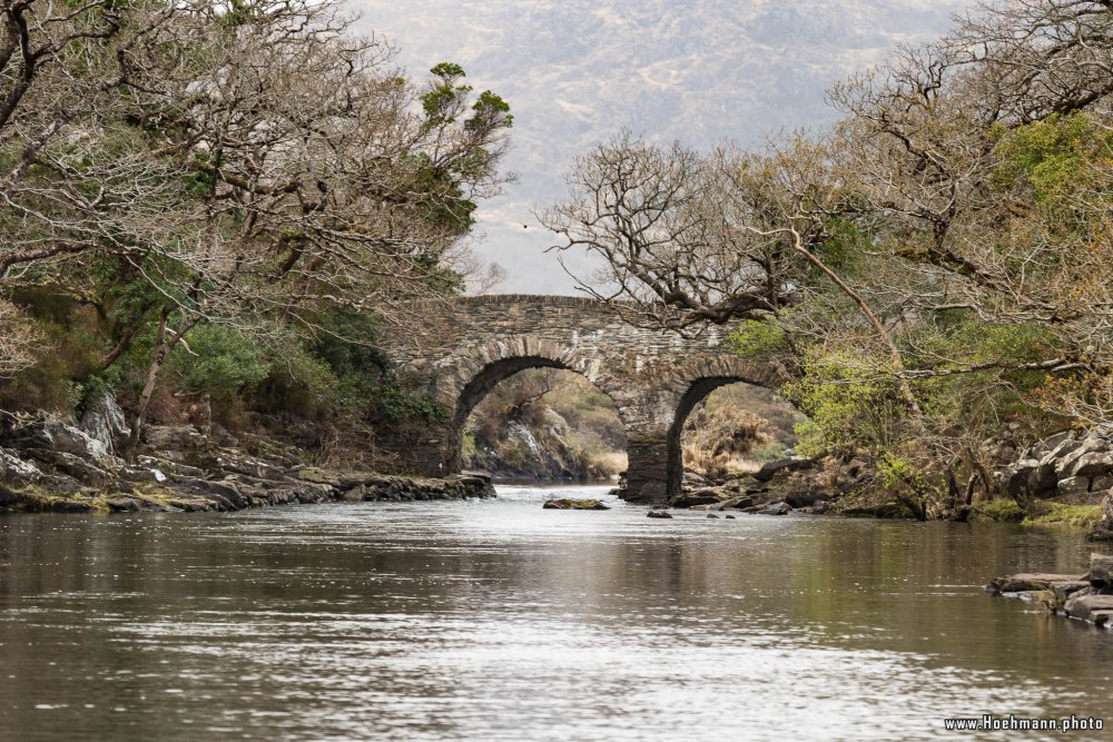 Irland_Killarney_Nationalpark_056