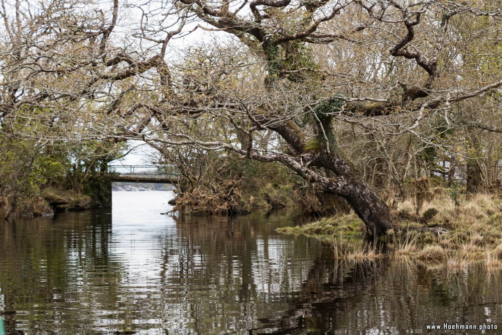 Irland_Killarney_Nationalpark_057