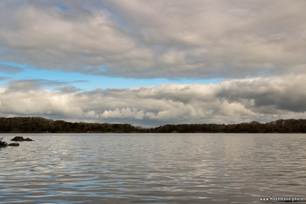 Irland_Killarney_Nationalpark_058