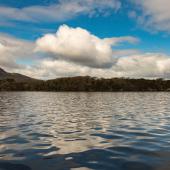 Irland_Killarney_Nationalpark_066