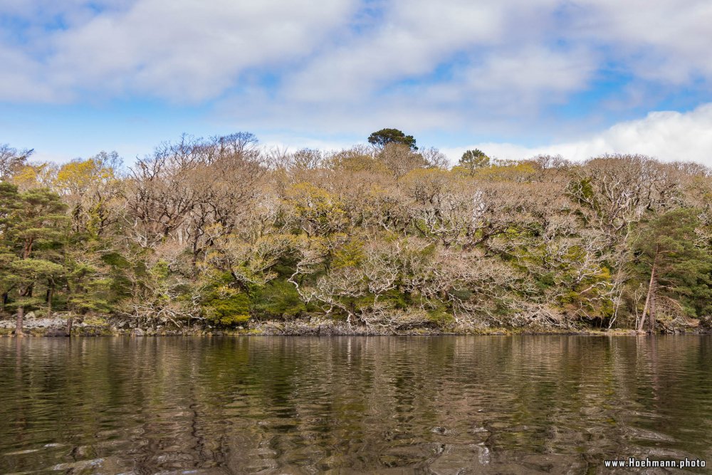 Irland_Killarney_Nationalpark_068