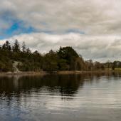 Irland_Killarney_Nationalpark_070