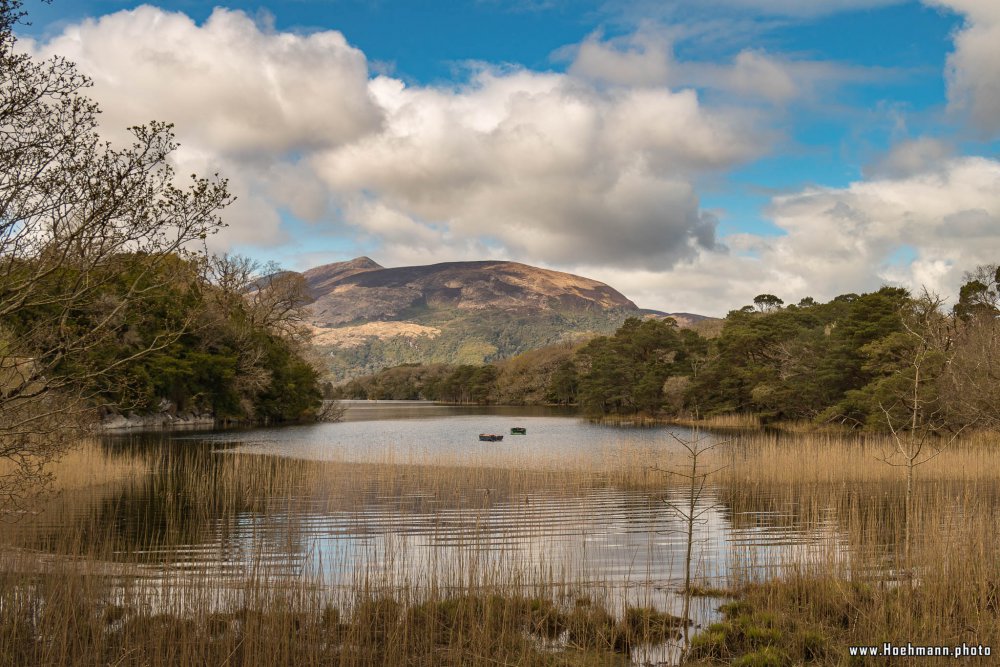 Irland_Killarney_Nationalpark_073