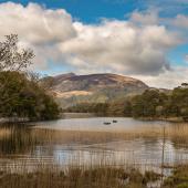 Irland_Killarney_Nationalpark_073