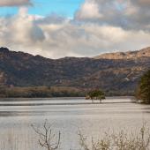 Irland_Killarney_Nationalpark_074