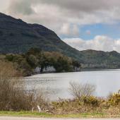 Irland_Killarney_Nationalpark_075