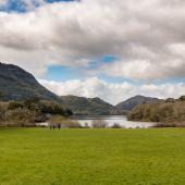 Irland_Killarney_Nationalpark_078