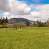 Irland_Killarney_Nationalpark_079