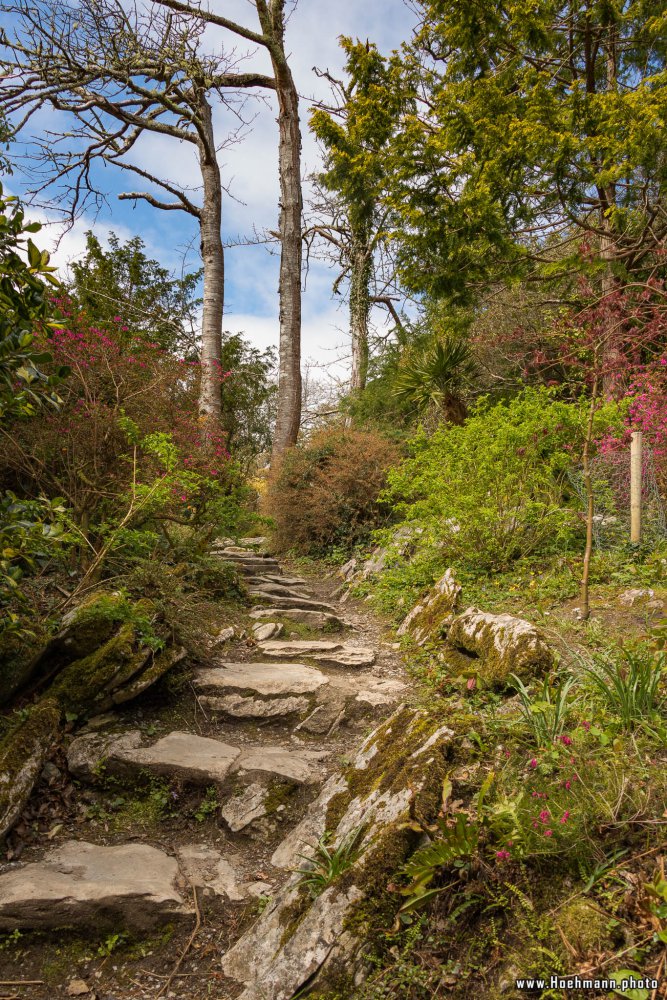 Irland_Killarney_Nationalpark_089