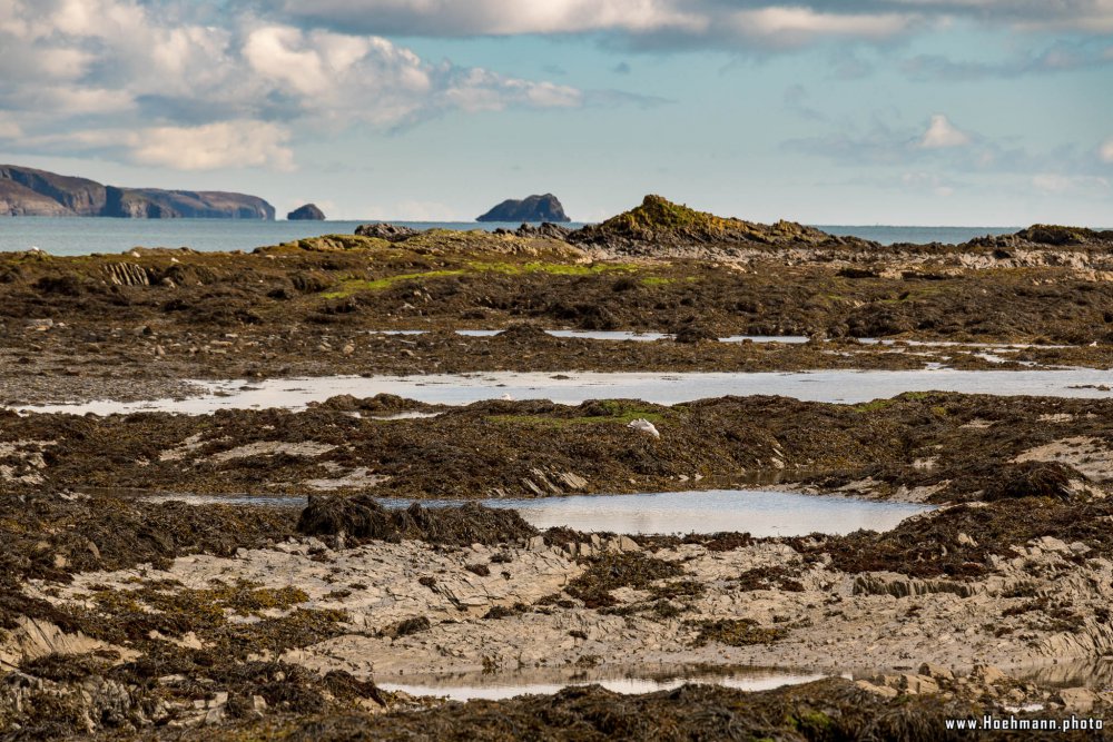 Irland_OldHead_007