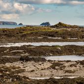 Irland_OldHead_007