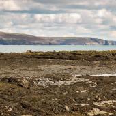 Irland_OldHead_008