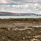 Irland_OldHead_008