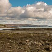 Irland_OldHead_014