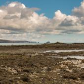 Irland_OldHead_015