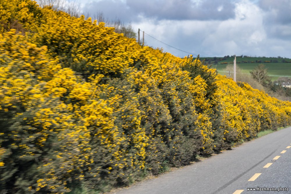 Irland_OldHead_023