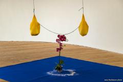 Irland_UniversityCork_017