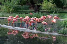 Krefelder Zoo 09.09.2018