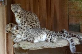 Krefelder Zoo 09.09.2018