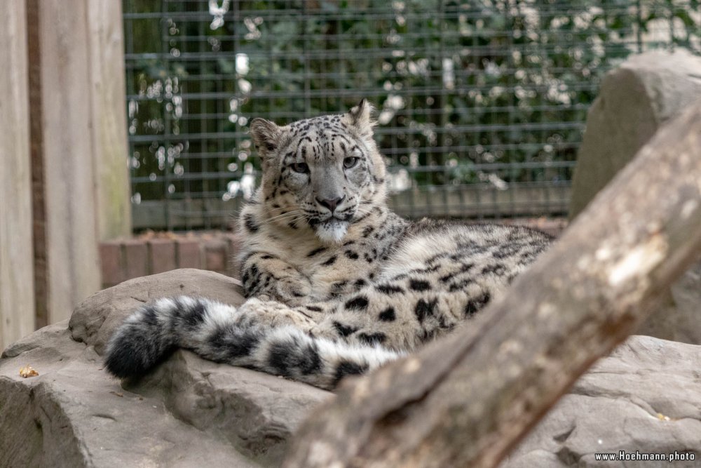 KrefelderZoo2018_058