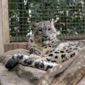 KrefelderZoo2018_058