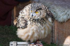 Osterspektakel Hohensyburg 17.04.2017