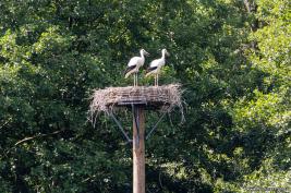 Otter-Zentrum Hankensbüttel 24.07.2019