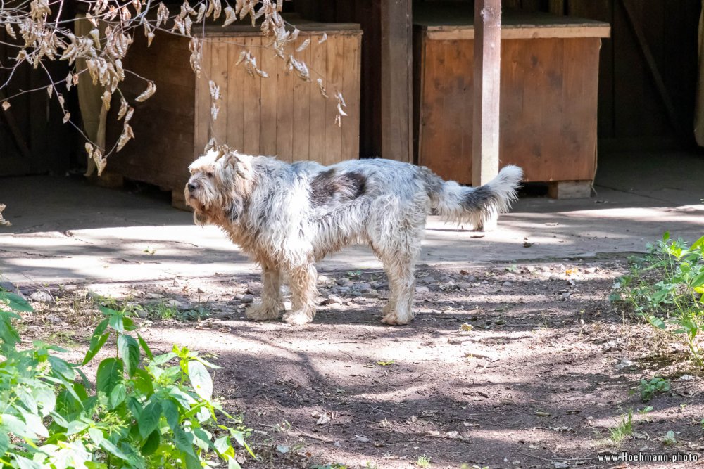 Otter-Zentrum-Hankensbuettel_014