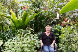 Schmetterlingshaus Hamm 13.08.2016