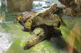 Terra Zoo Rheinberg 22.08.2015