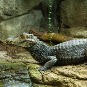 Tierpark_Bochum-102