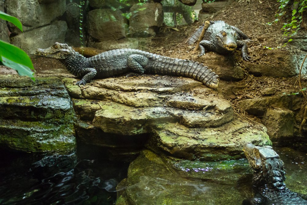 Tierpark_Bochum-103