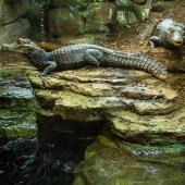 Tierpark_Bochum-103