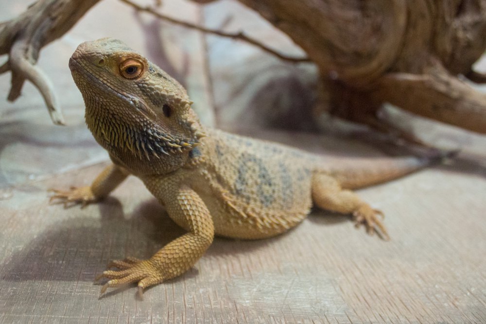 Tierpark_Bochum-109