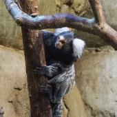 Tierpark_Bochum-110