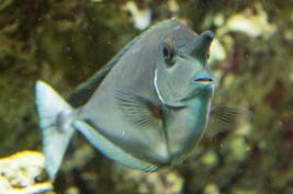 Tierpark Bochum 18.07.2015