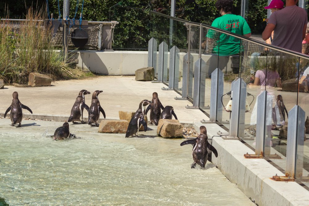 Tierpark_Bochum-15