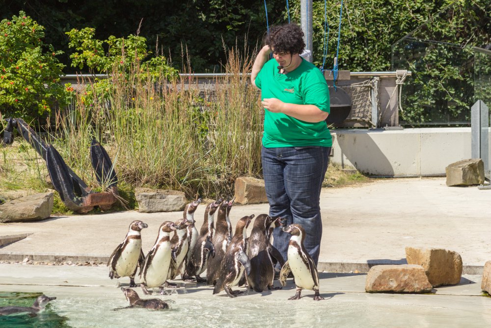 Tierpark_Bochum-16