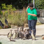 Tierpark_Bochum-16