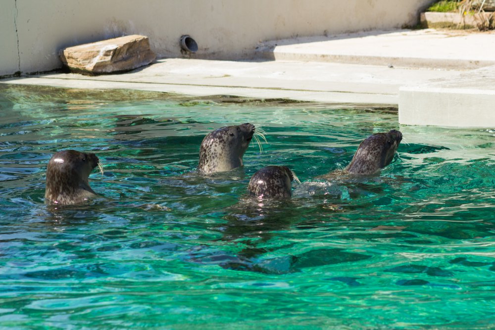 Tierpark_Bochum-17