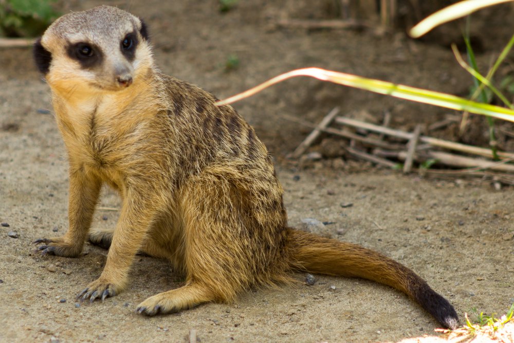 Tierpark_Bochum-1