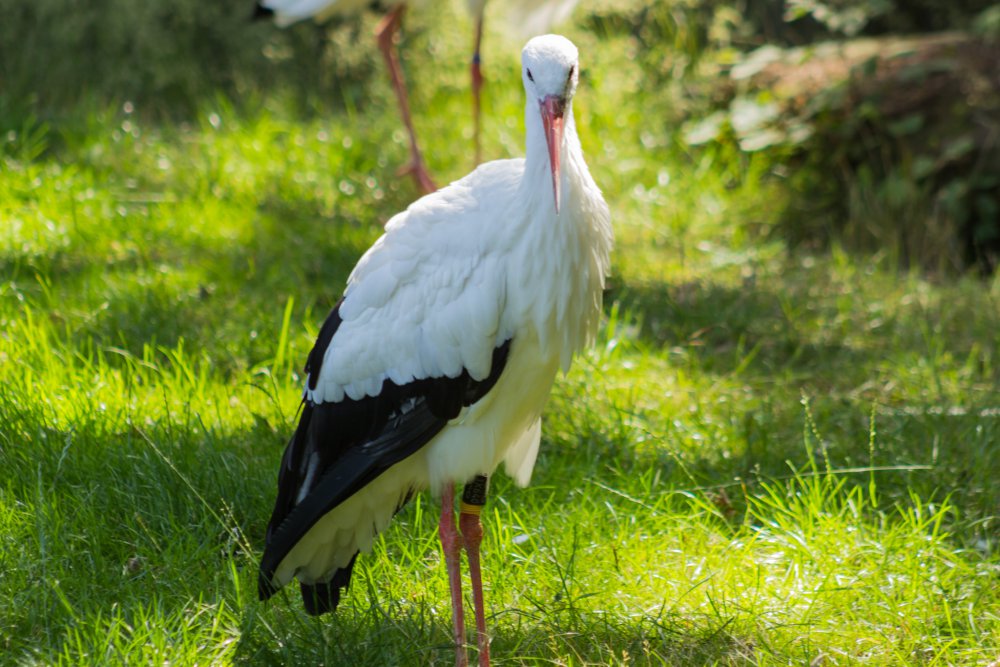 Tierpark_Bochum-24