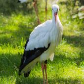 Tierpark_Bochum-24