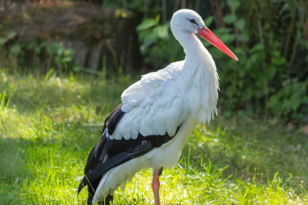 Tierpark_Bochum-25