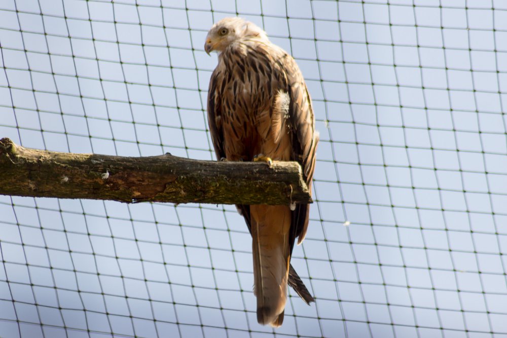 Tierpark_Bochum-26