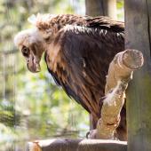 Tierpark_Bochum-27