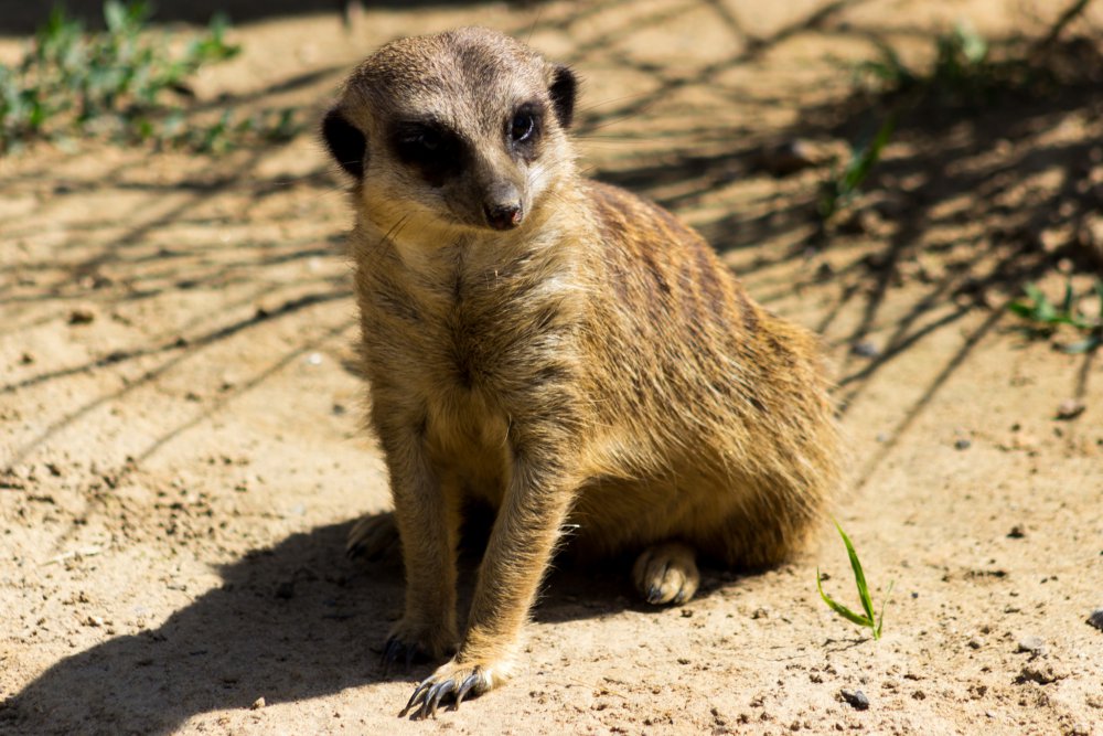 Tierpark_Bochum-2