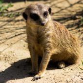 Tierpark_Bochum-2