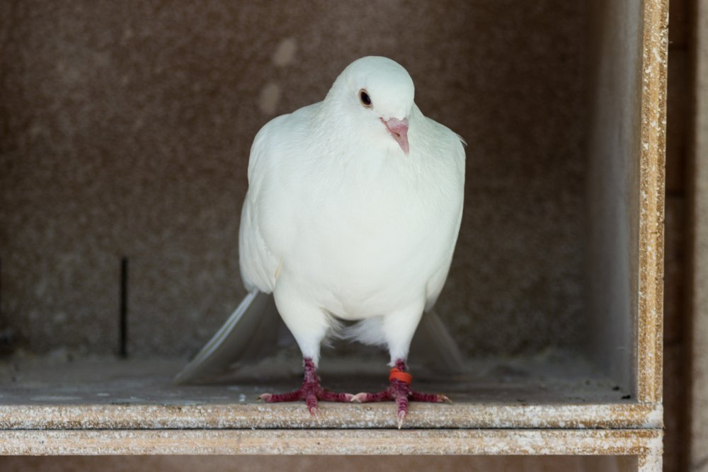 Tierpark_Bochum-30