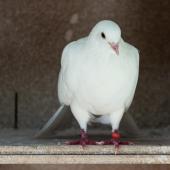 Tierpark_Bochum-30